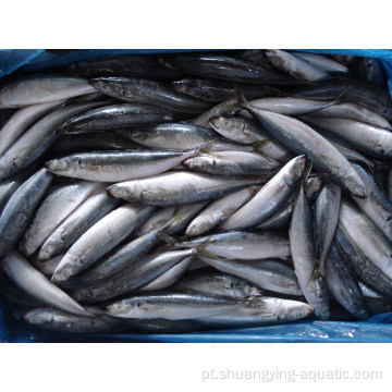Cavala de peixes de peixe de Carapau congelada 20 kg para atacado